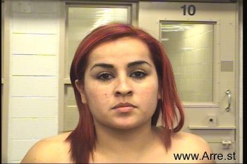 Daniela E Diaz-arrendondo Mugshot